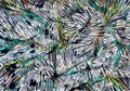 Paisaje 3.22 |