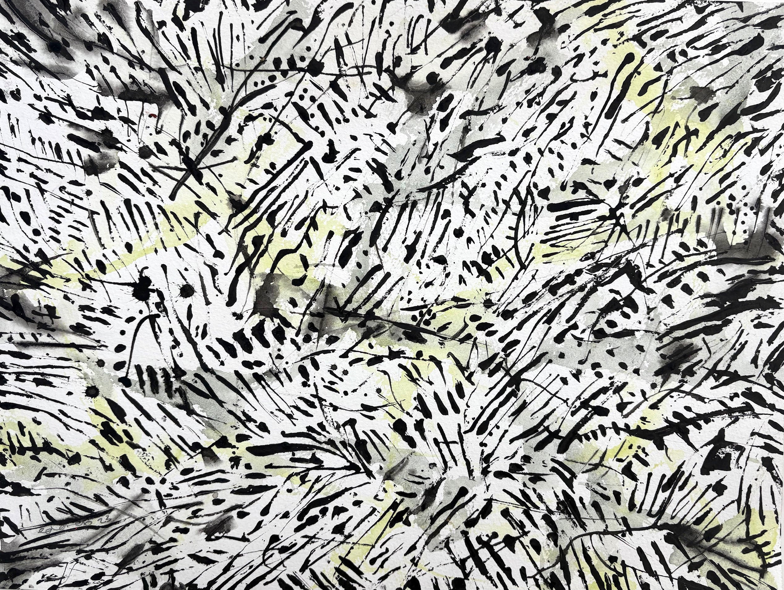 Paisaje 13.23